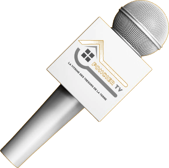 Micro Foncier TV